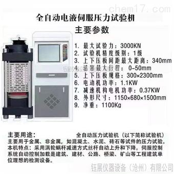 WYL-3000全自动压力试验机