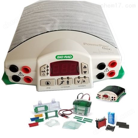 Bio-Rad美國伯樂小垂直電泳槽1658001